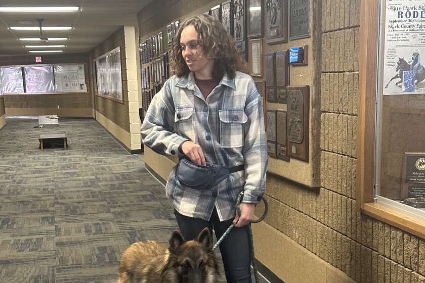 Blue hawk dog clearance kennel website